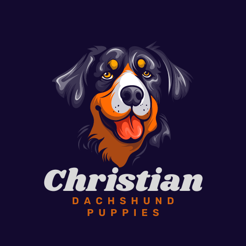 CHRISTIAN DACHSHUND HOME – Licensed Dachshund Breeder